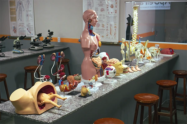 lab-anatomia.webp